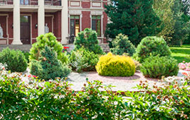 дома с ландшафтным дизайном